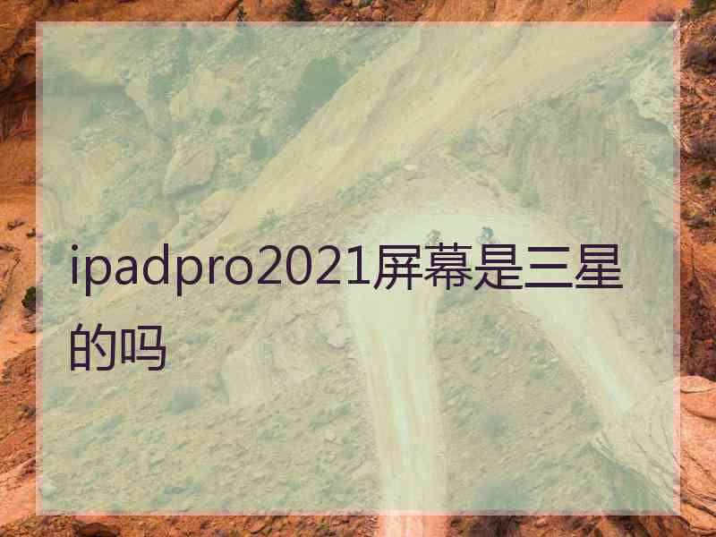 ipadpro2021屏幕是三星的吗