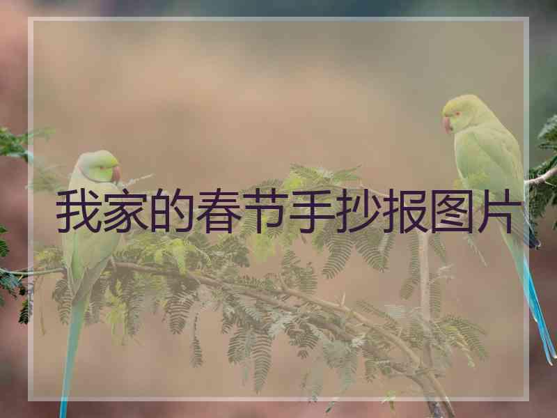 我家的春节手抄报图片