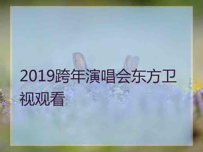 2019跨年演唱会东方卫视观看