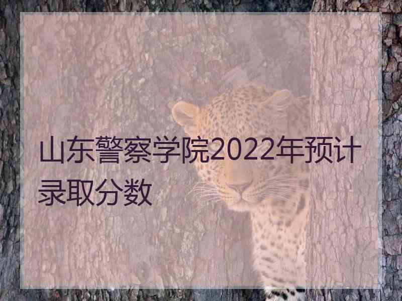 山东警察学院2022年预计录取分数