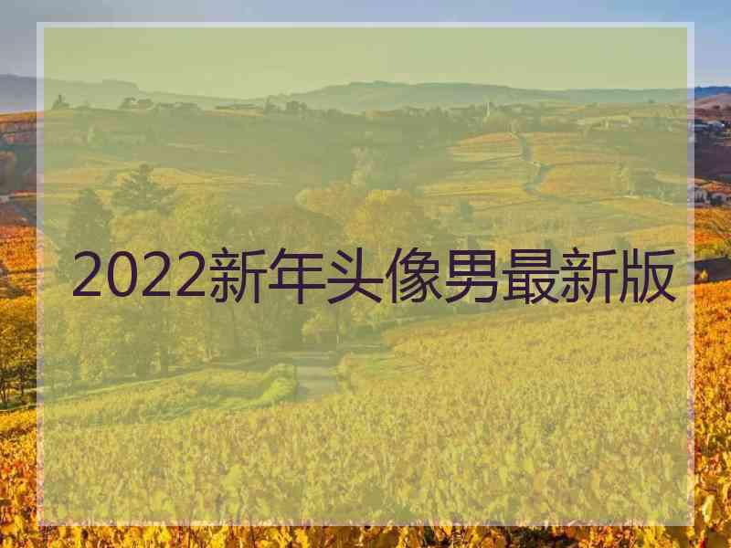 2022新年头像男最新版