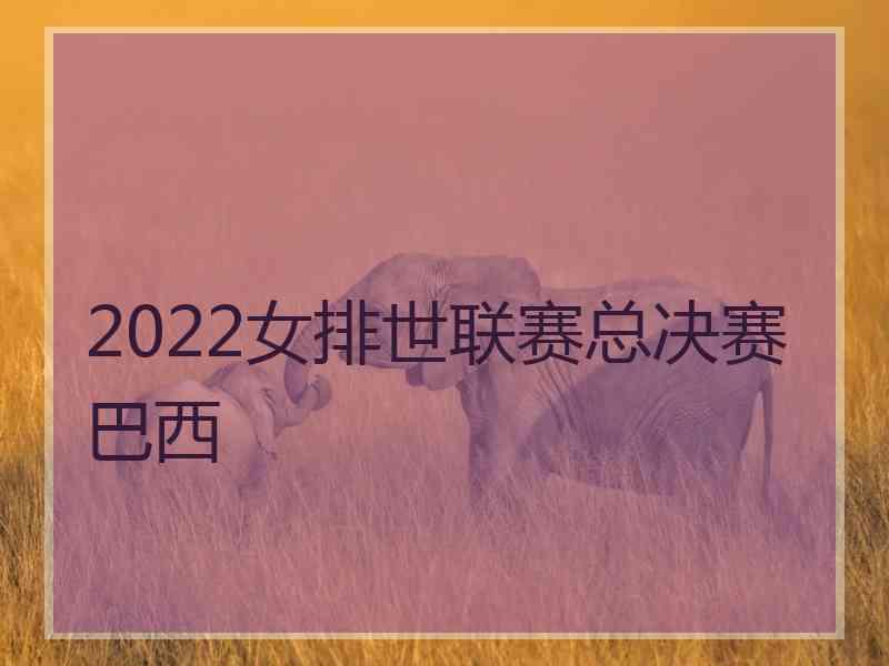 2022女排世联赛总决赛巴西