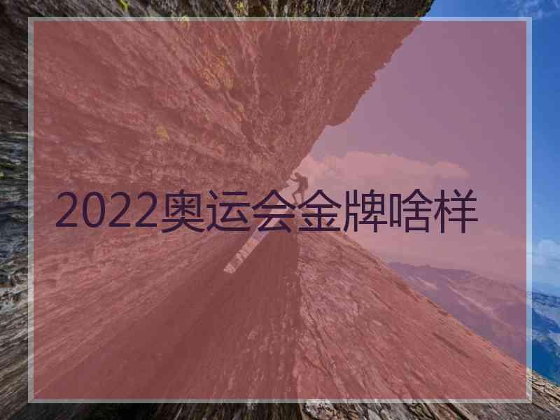 2022奥运会金牌啥样