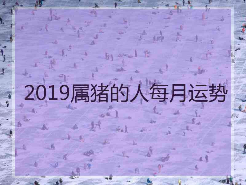 2019属猪的人每月运势