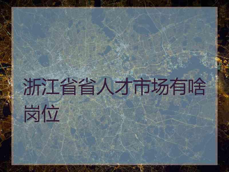 浙江省省人才市场有啥岗位