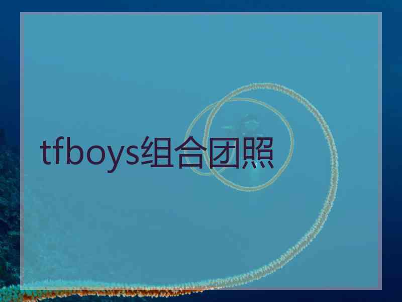 tfboys组合团照