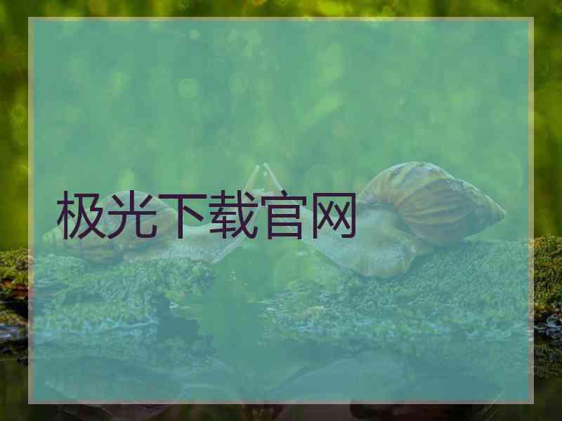 极光下载官网