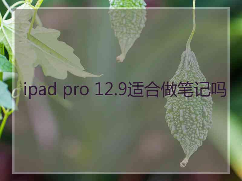 ipad pro 12.9适合做笔记吗