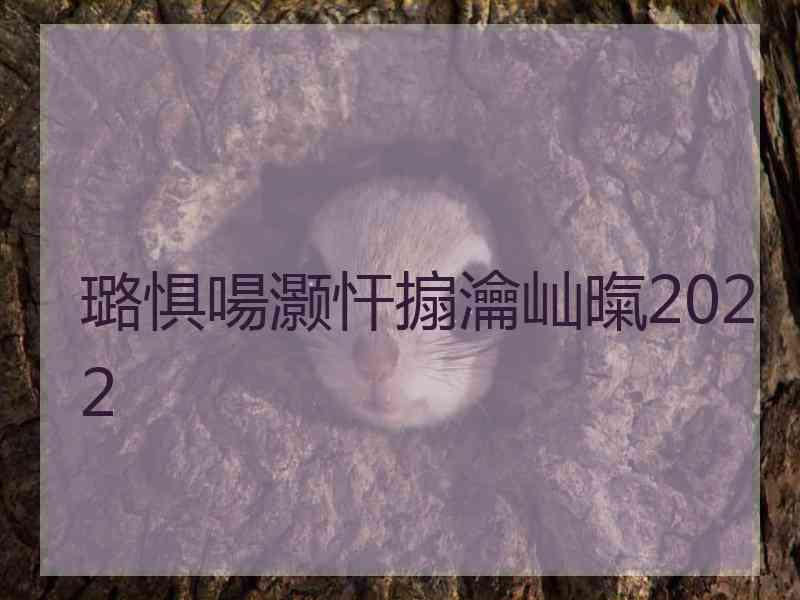 璐惧啺灏忓搧瀹屾暣2022