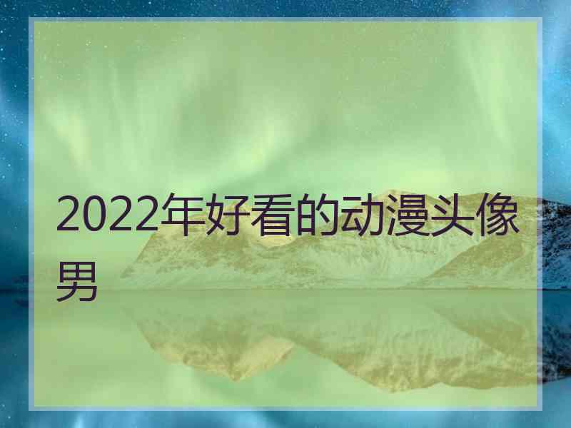 2022年好看的动漫头像男