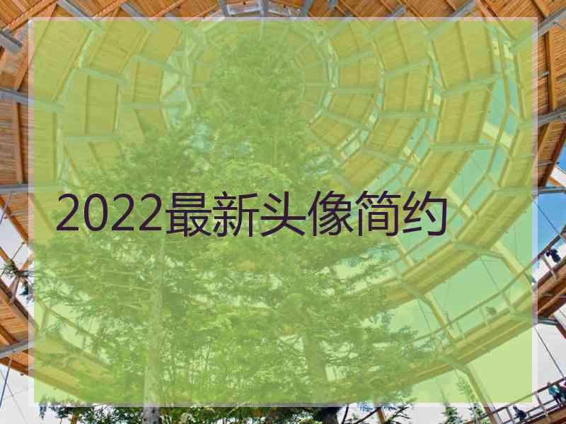 2022最新头像简约