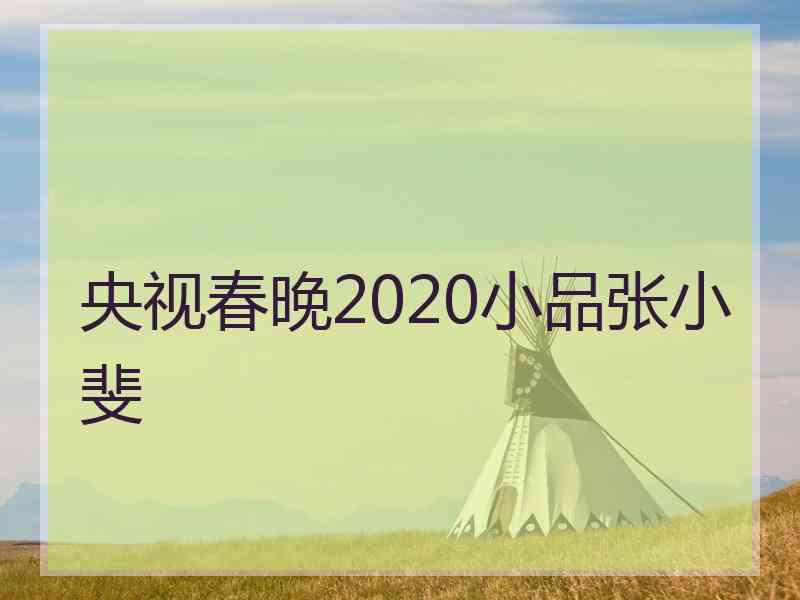 央视春晚2020小品张小斐