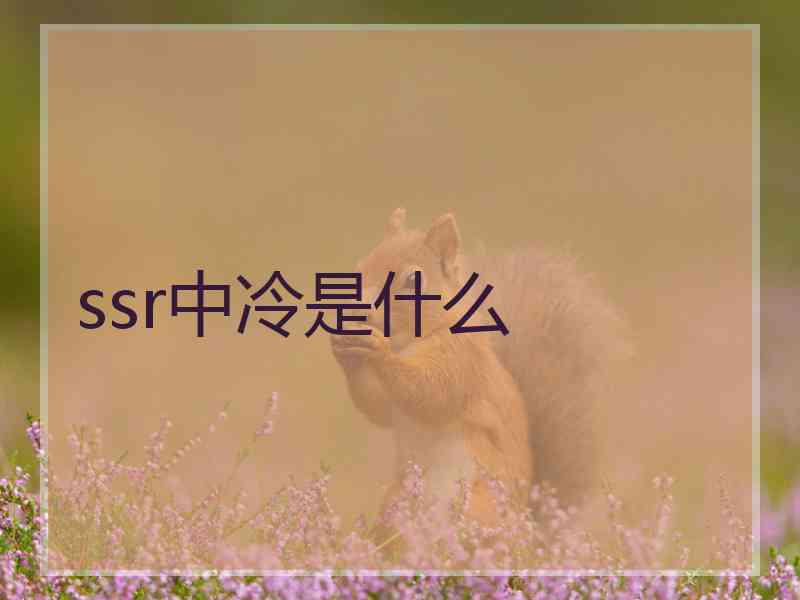 ssr中冷是什么