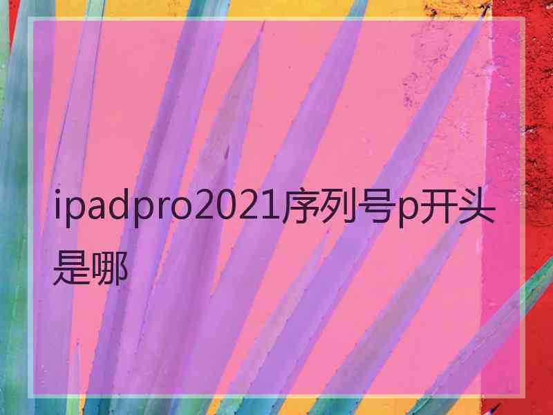 ipadpro2021序列号p开头是哪