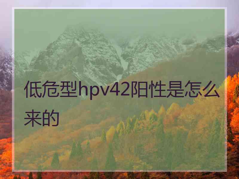 低危型hpv42阳性是怎么来的