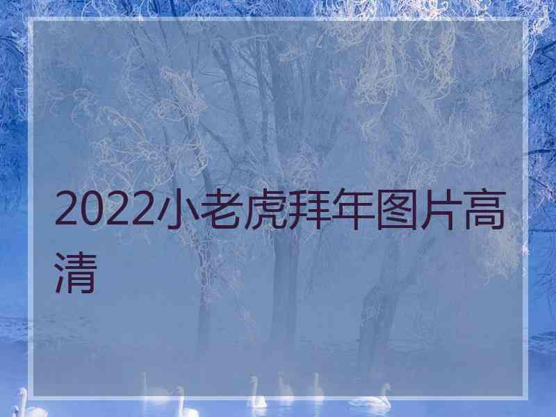 2022小老虎拜年图片高清