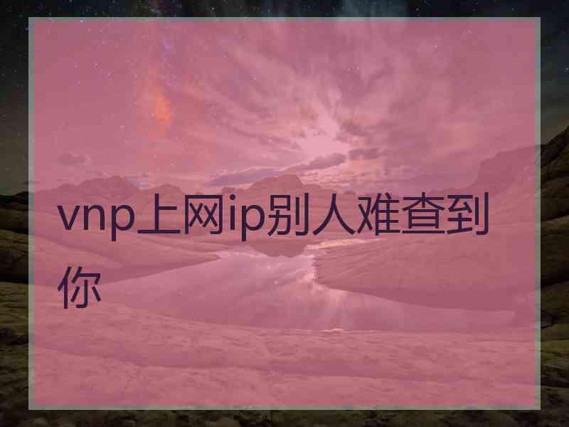 vnp上网ip别人难查到你