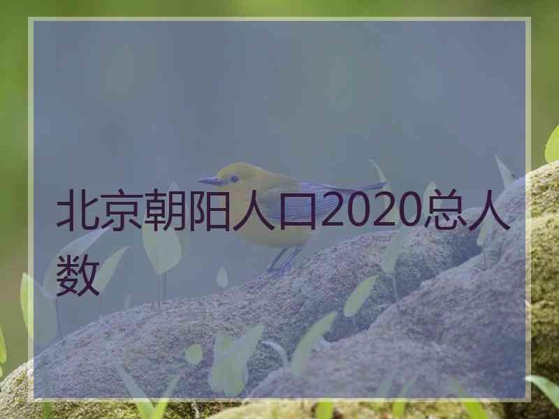 北京朝阳人口2020总人数