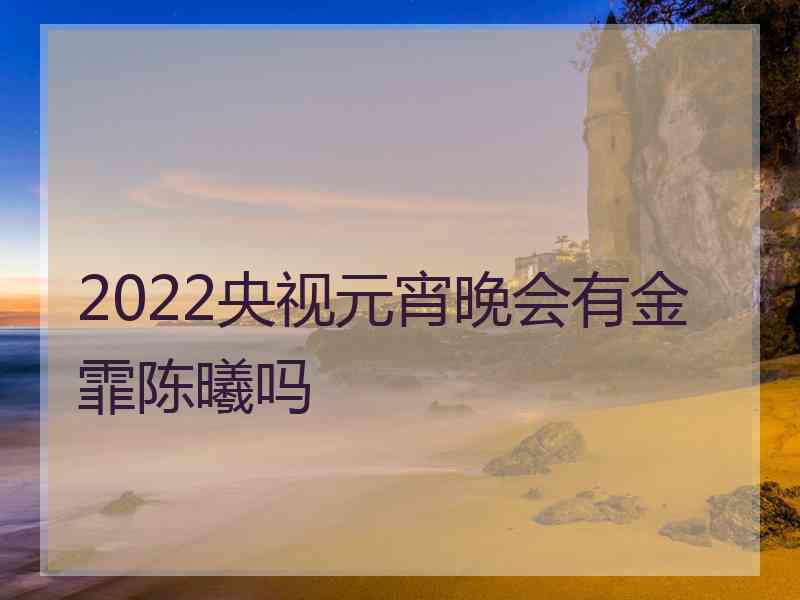 2022央视元宵晚会有金霏陈曦吗