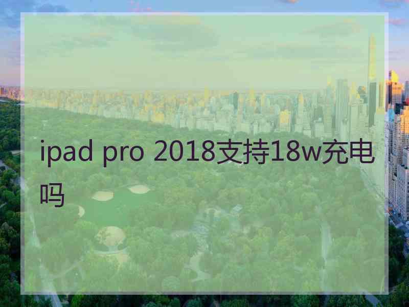 ipad pro 2018支持18w充电吗