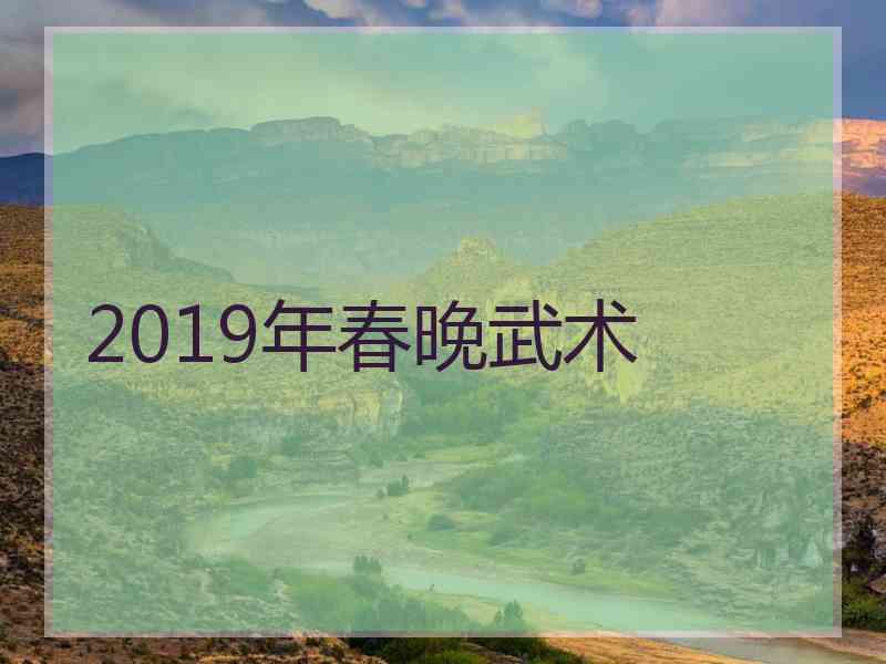 2019年春晚武术