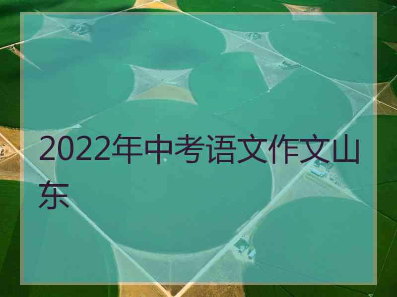 2022年中考语文作文山东