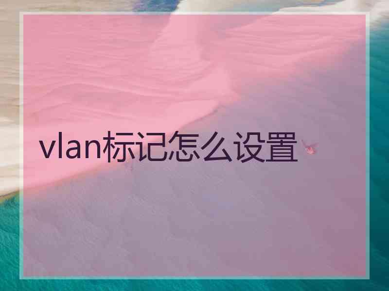 vlan标记怎么设置