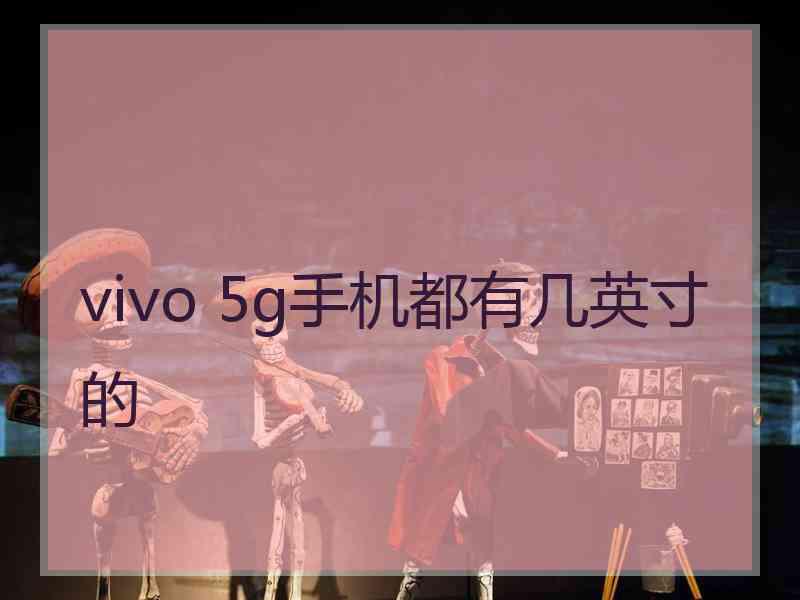 vivo 5g手机都有几英寸的