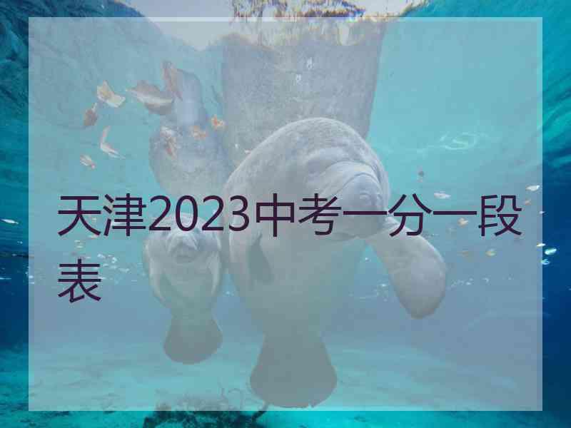 天津2023中考一分一段表