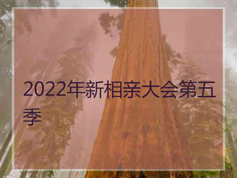 2022年新相亲大会第五季