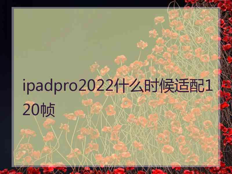 ipadpro2022什么时候适配120帧