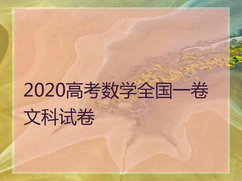 2020高考数学全国一卷文科试卷