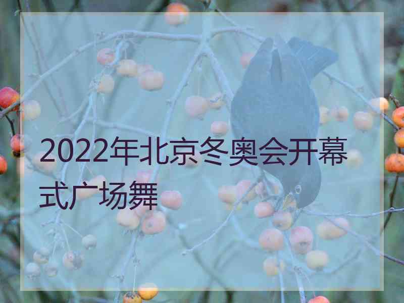 2022年北京冬奥会开幕式广场舞