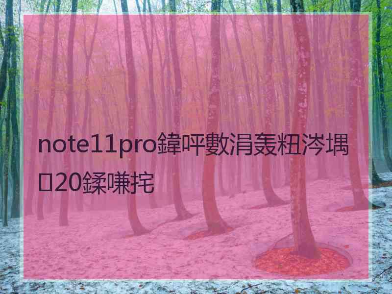 note11pro鍏呯數涓轰粈涔堣20鍒嗛挓