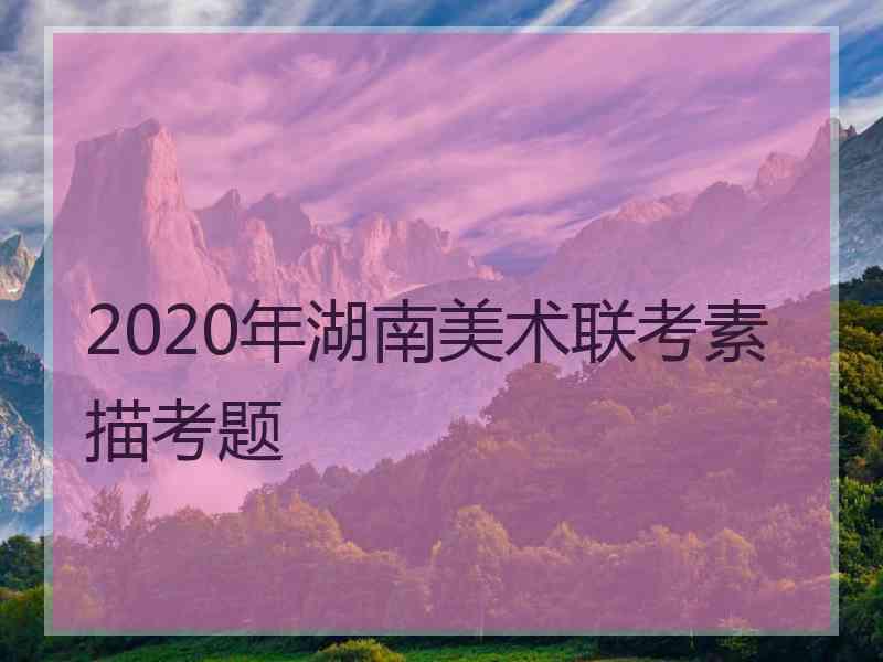 2020年湖南美术联考素描考题