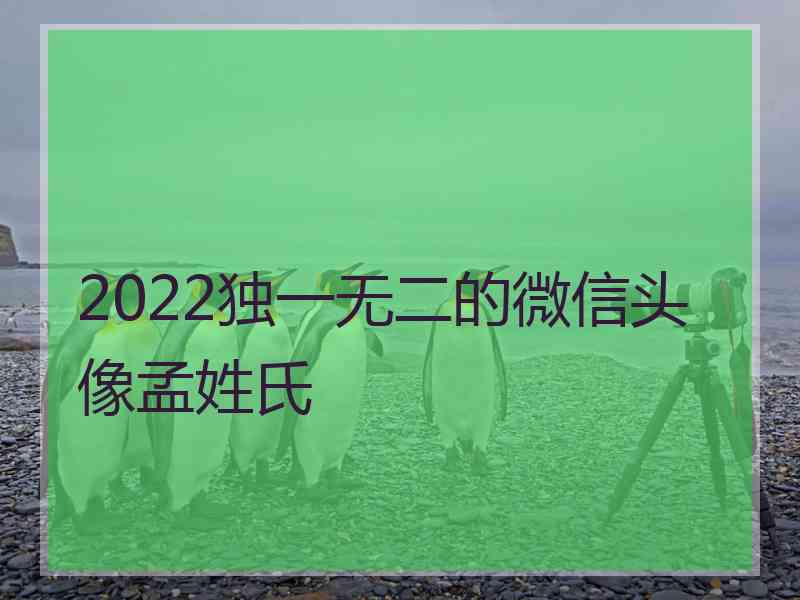 2022独一无二的微信头像孟姓氏