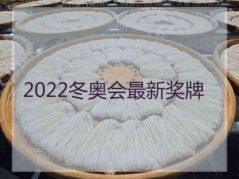 2022冬奥会最新奖牌