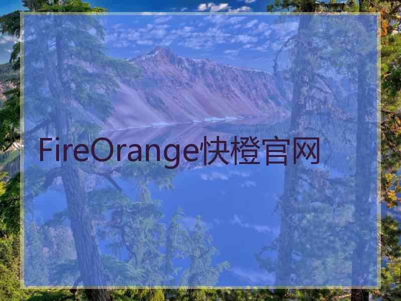 FireOrange快橙官网