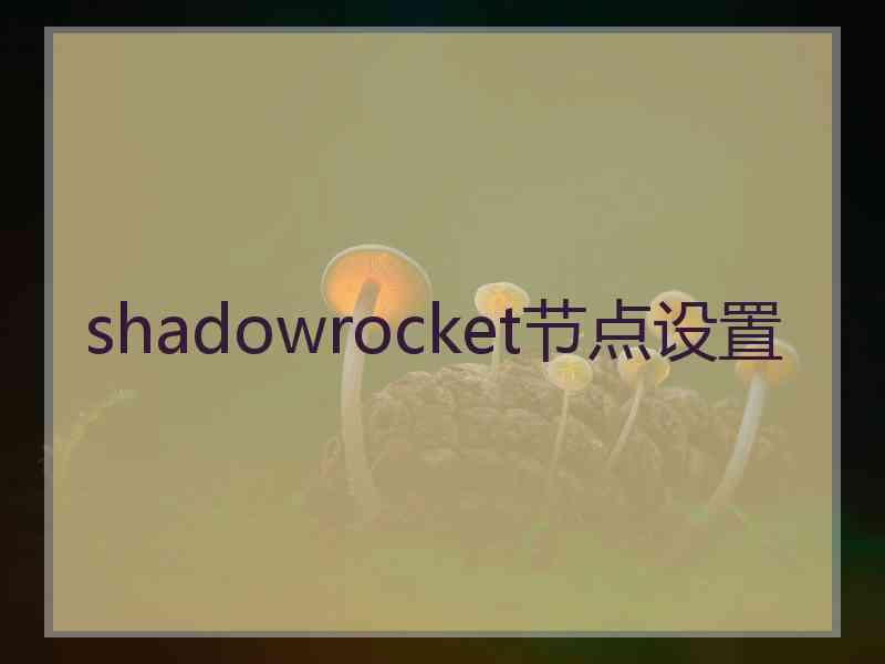 shadowrocket节点设置