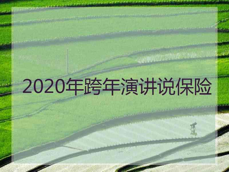 2020年跨年演讲说保险