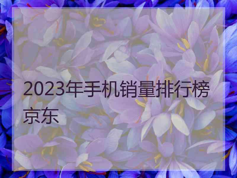 2023年手机销量排行榜京东