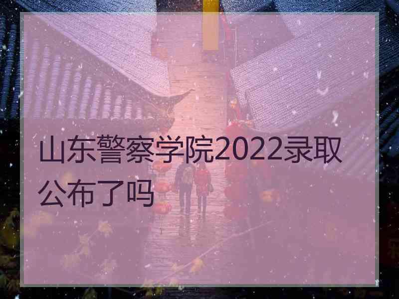 山东警察学院2022录取公布了吗