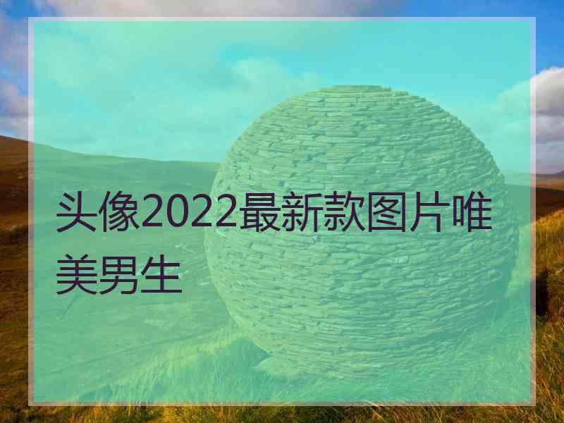 头像2022最新款图片唯美男生