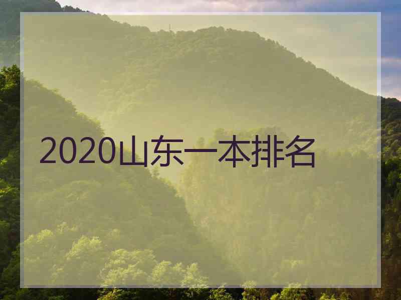 2020山东一本排名