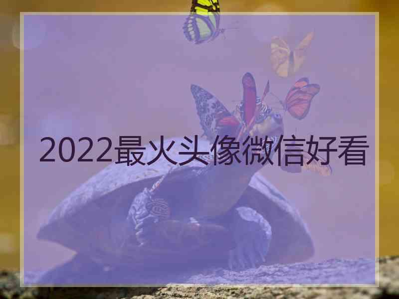 2022最火头像微信好看