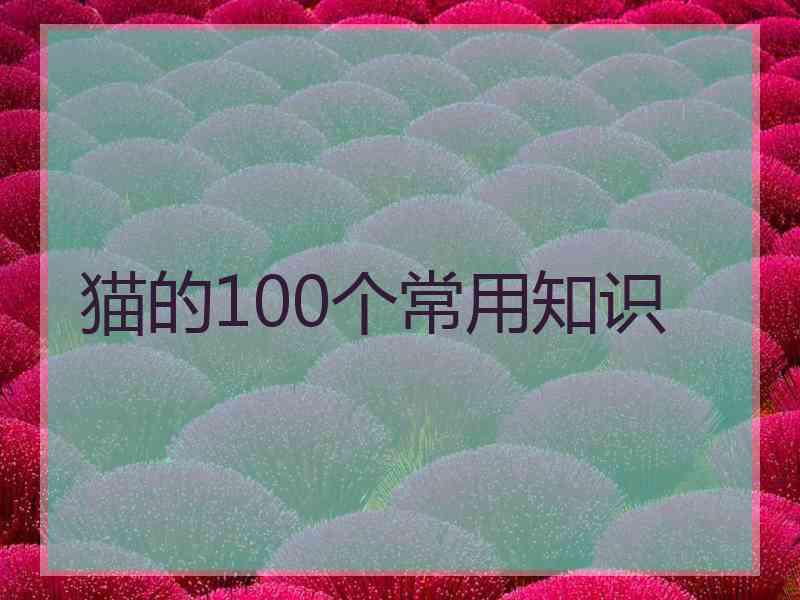 猫的100个常用知识