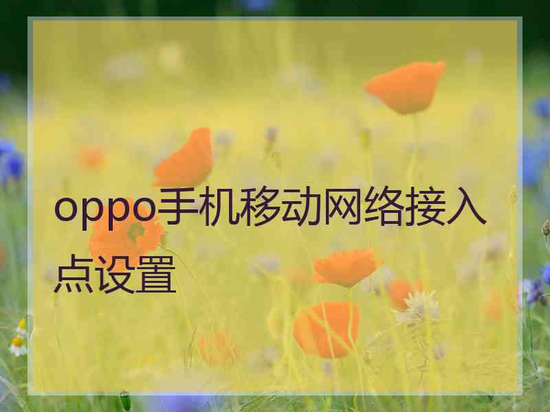 oppo手机移动网络接入点设置