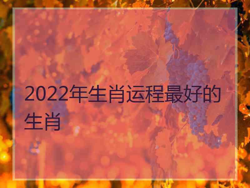 2022年生肖运程最好的生肖