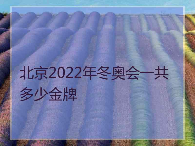 北京2022年冬奥会一共多少金牌