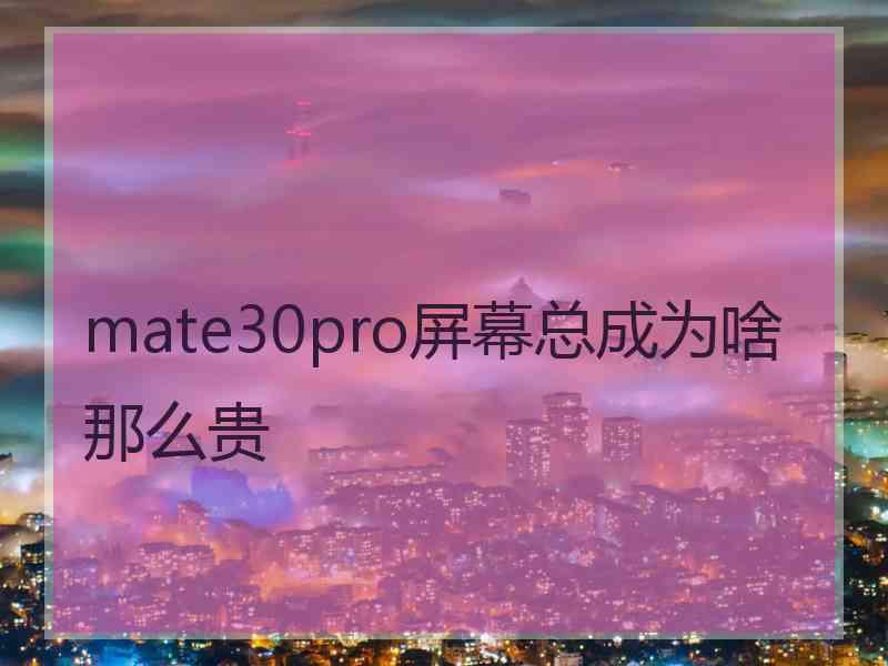 mate30pro屏幕总成为啥那么贵